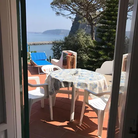 Antonio Hotel